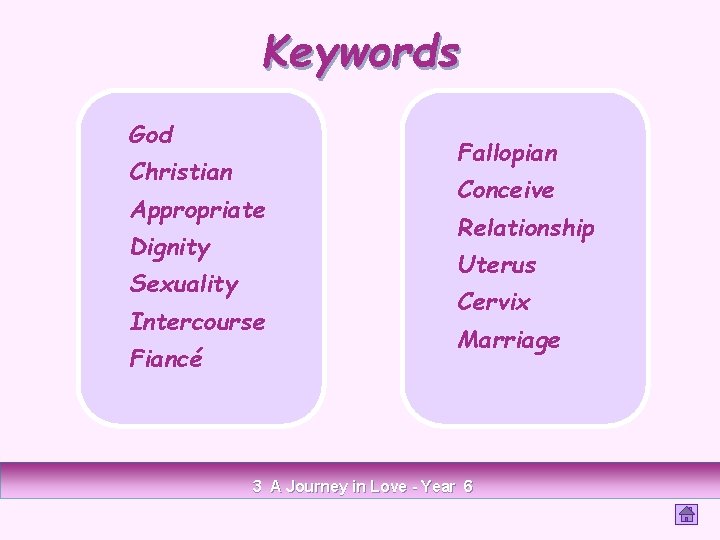 Keywords God Fallopian Christian Appropriate Dignity Relationship Uterus Sexuality Intercourse Fiancé Conceive Cervix Marriage