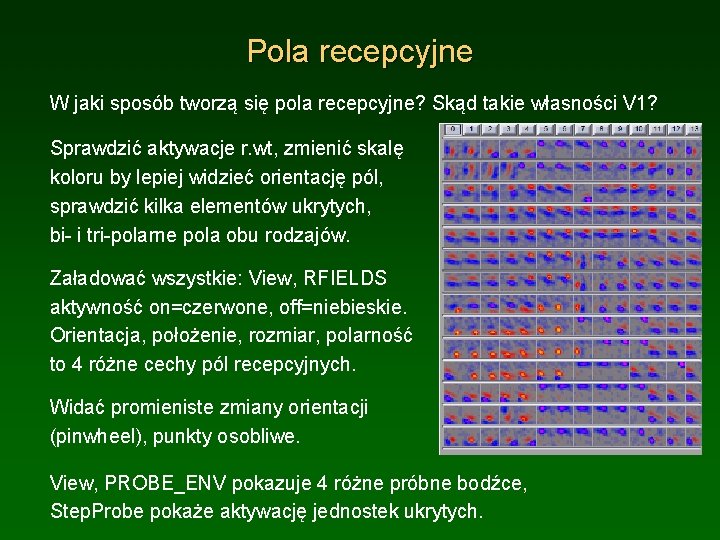 Pola recepcyjne W jaki sposób tworzą się pola recepcyjne? Skąd takie własności V 1?