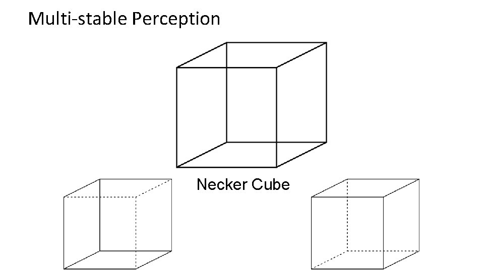 Multi-stable Perception Necker Cube 