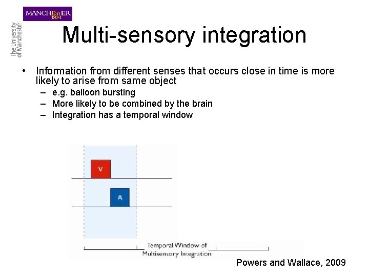 Multi-sensory integration • Information from different senses that occurs close in time is more