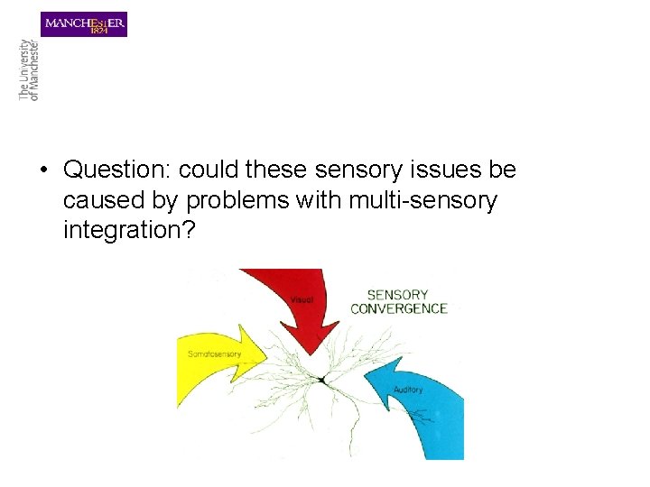  • Question: could these sensory issues be caused by problems with multi-sensory integration?