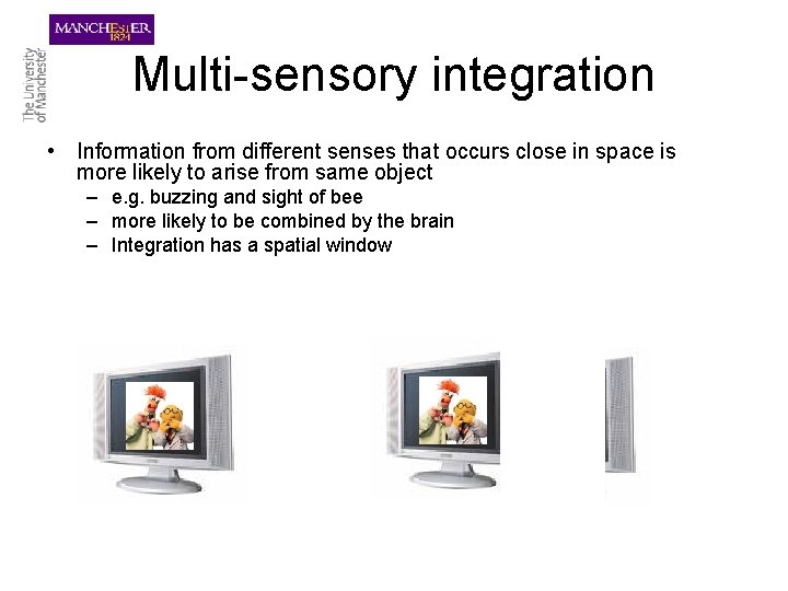 Multi-sensory integration • Information from different senses that occurs close in space is more
