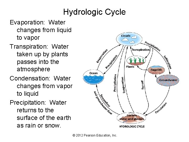 Hydrologic Cycle Evaporation: Water changes from liquid to vapor Transpiration: Water taken up by