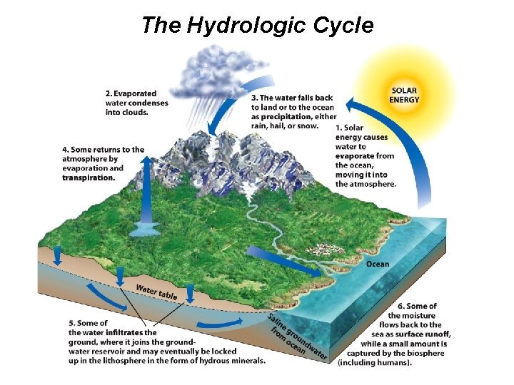 The Hydrologic Cycle © 2012 Pearson Education, Inc. 