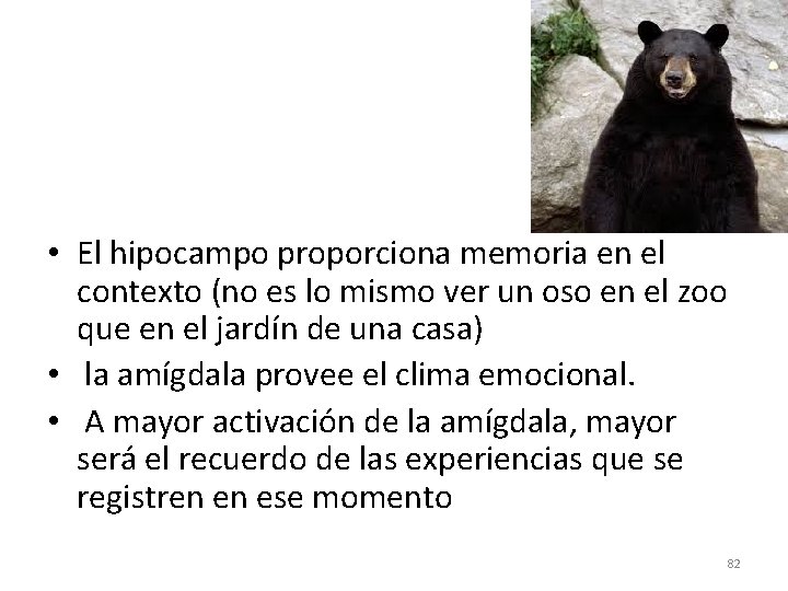  • El hipocampo proporciona memoria en el contexto (no es lo mismo ver