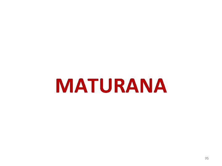 MATURANA 95 