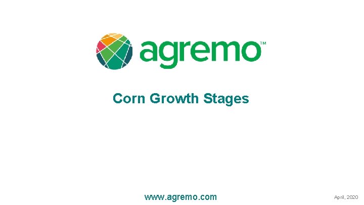 Corn Growth Stages www. agremo. com April, 2020 