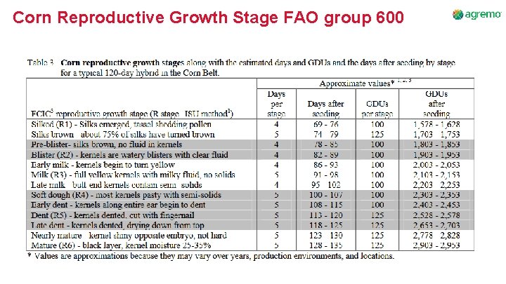 Corn Reproductive Growth Stage FAO group 600 