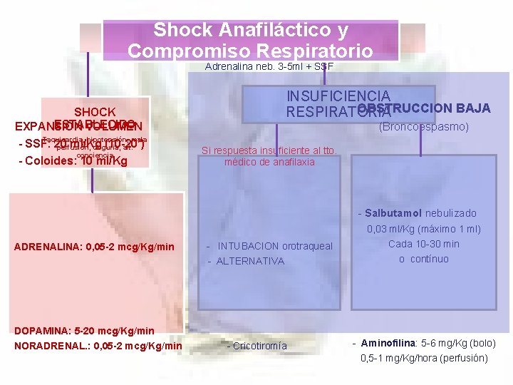 Shock Anafiláctico y Compromiso Respiratorio Adrenalina neb. 3 -5 ml + SSF SHOCK ESTABLECIDO