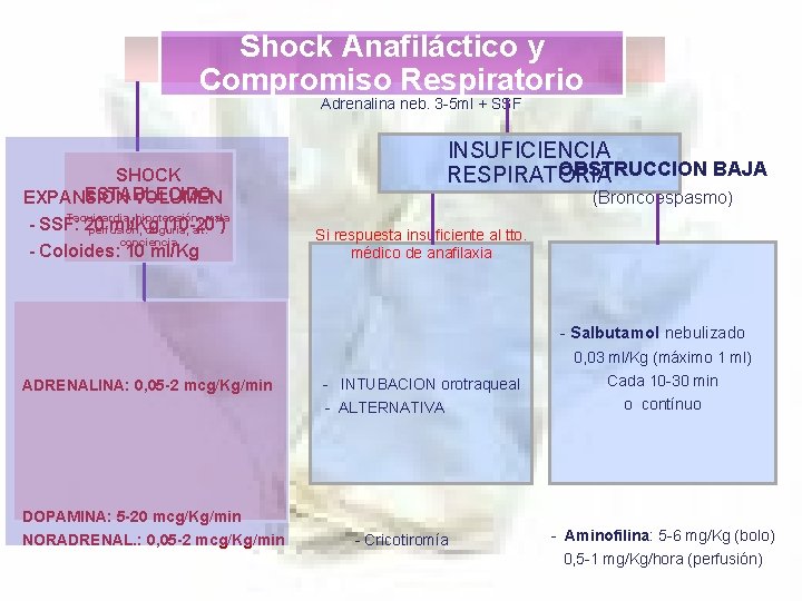 Shock Anafiláctico y Compromiso Respiratorio Adrenalina neb. 3 -5 ml + SSF SHOCK ESTABLECIDO