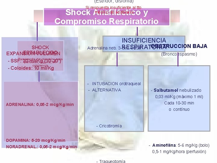 (Estridor, disfonía) Si respuesta insuficiente al tto. médico de anafilaxia Shock Anafiláctico y Compromiso