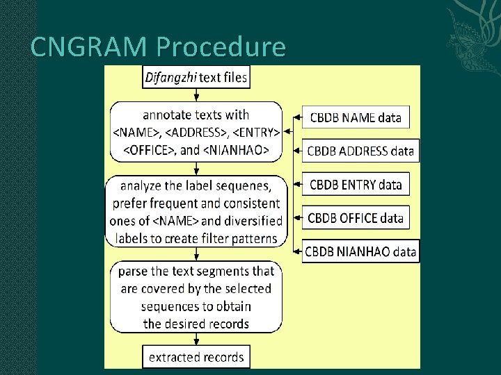 CNGRAM Procedure 