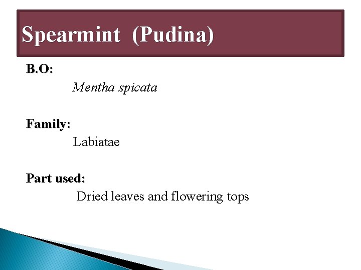 Spearmint (Pudina) B. O: Mentha spicata Family: Labiatae Part used: Dried leaves and flowering