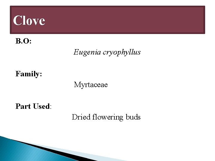 Clove B. O: Eugenia cryophyllus Family: Myrtaceae Part Used: Dried flowering buds 