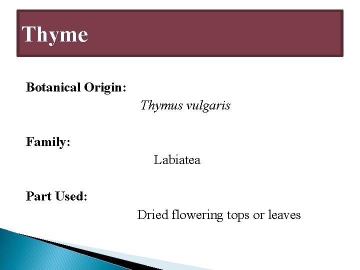 Thyme Botanical Origin: Thymus vulgaris Family: Labiatea Part Used: Dried flowering tops or leaves