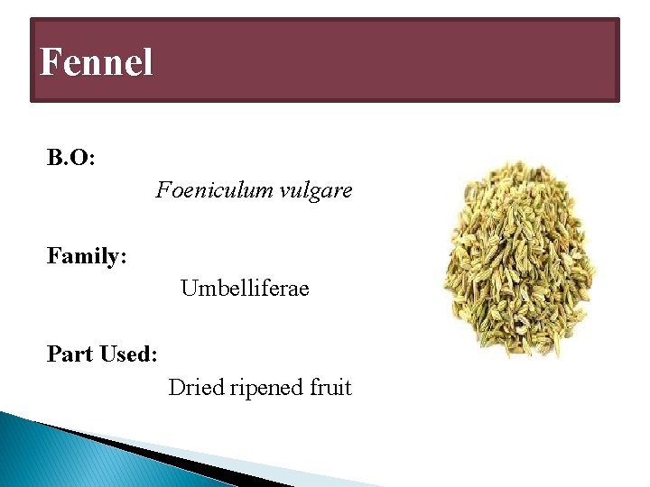 Fennel B. O: Foeniculum vulgare Family: Umbelliferae Part Used: Dried ripened fruit 