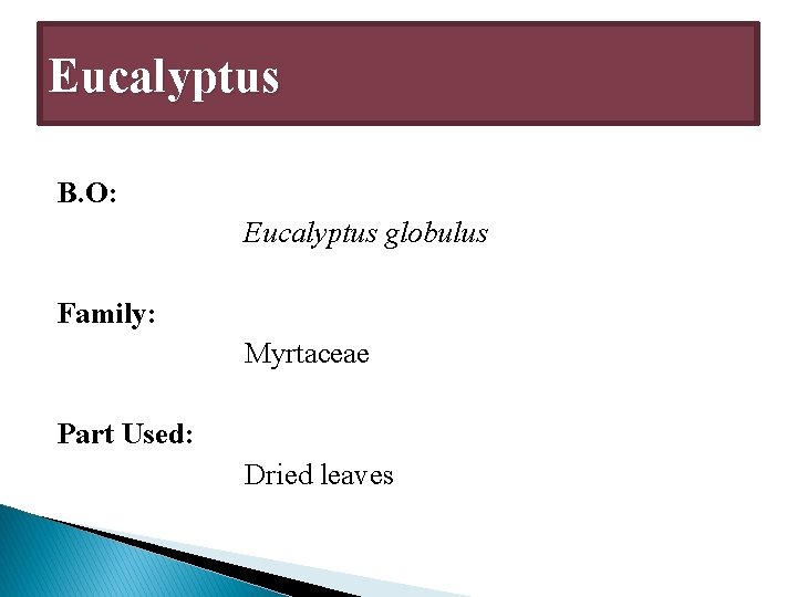 Eucalyptus B. O: Eucalyptus globulus Family: Myrtaceae Part Used: Dried leaves 