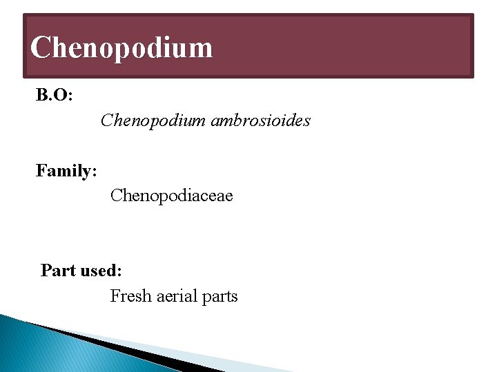 Chenopodium B. O: Chenopodium ambrosioides Family: Chenopodiaceae Part used: Fresh aerial parts 