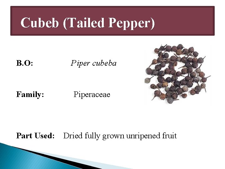 Cubeb (Tailed Pepper) B. O: Family: Part Used: Piper cubeba Piperaceae Dried fully grown