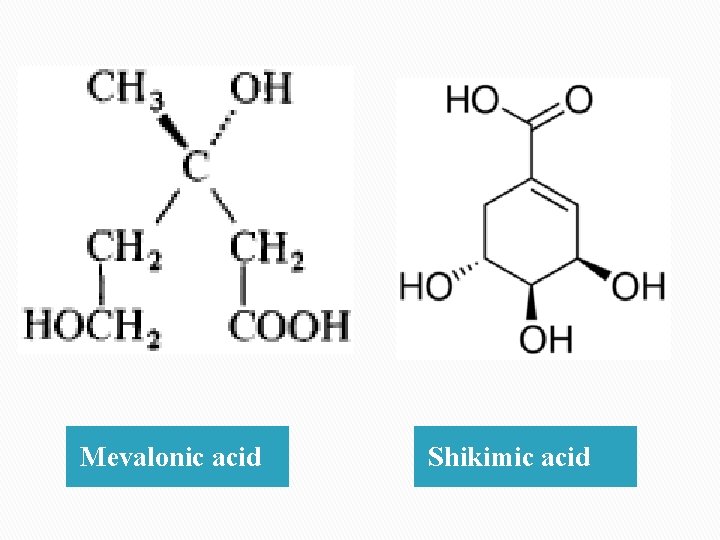 Mevalonic acid Shikimic acid 