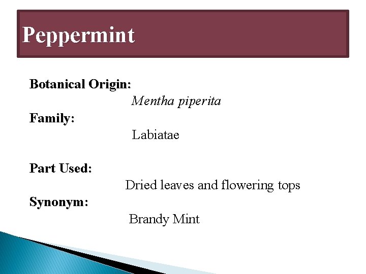 Peppermint Botanical Origin: Mentha piperita Family: Labiatae Part Used: Dried leaves and flowering tops