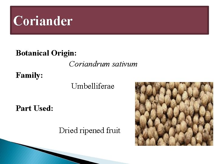 Coriander Botanical Origin: Coriandrum sativum Family: Umbelliferae Part Used: Dried ripened fruit 