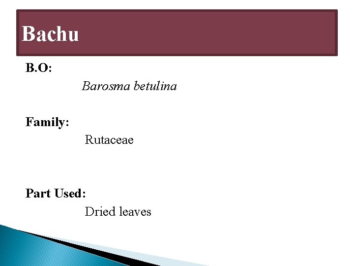 Bachu B. O: Barosma betulina Family: Rutaceae Part Used: Dried leaves 