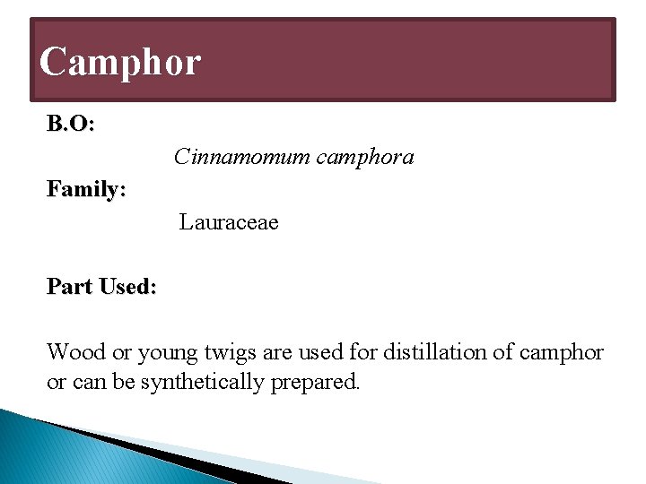 Camphor B. O: Cinnamomum camphora Family: Lauraceae Part Used: Wood or young twigs are