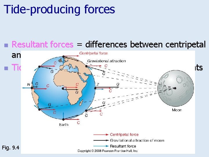 Tide-producing forces n n Resultant forces = differences between centripetal and gravitational forces Tide-generating