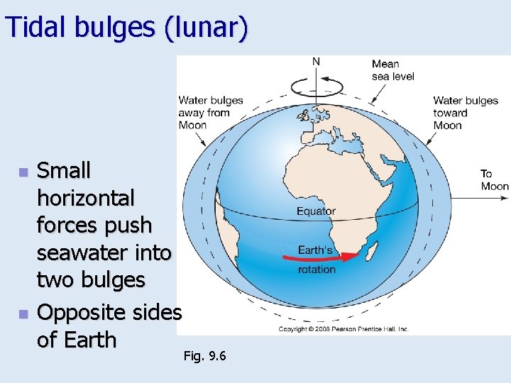 Tidal bulges (lunar) n n Small horizontal forces push seawater into two bulges Opposite