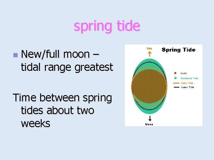 spring tide n New/full moon – tidal range greatest Time between spring tides about