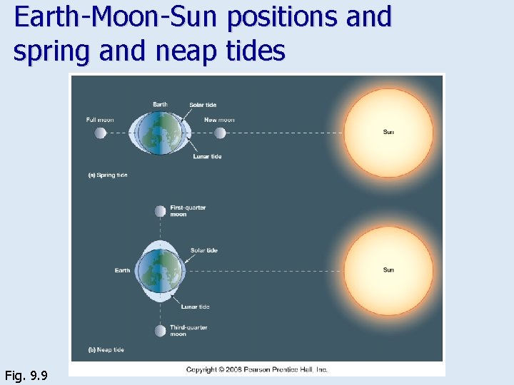 Earth-Moon-Sun positions and spring and neap tides Fig. 9. 9 