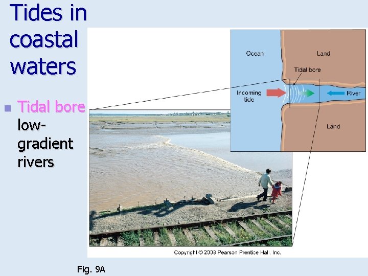 Tides in coastal waters n Tidal bore in lowgradient rivers Fig. 9 A 