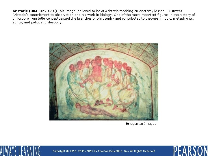 Aristotle (384– 322 B. C. E. ) This image, believed to be of Aristotle Aristotle (384– 322 B. C. E. ) This image, believed to be of Aristotle