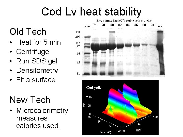 Cod Lv heat stability Old Tech • • • Heat for 5 min Centrifuge