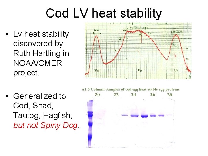 Cod LV heat stability • Lv heat stability discovered by Ruth Hartling in NOAA/CMER