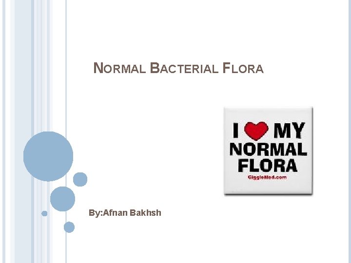 NORMAL BACTERIAL FLORA By: Afnan Bakhsh 