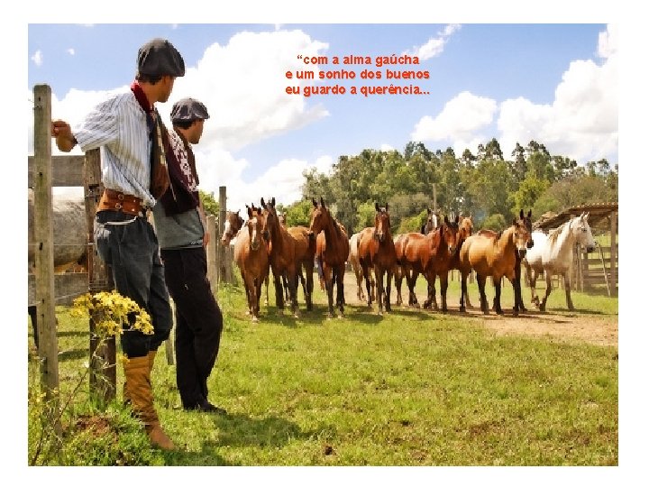 “com a alma gaúcha e um sonho dos buenos eu guardo a querência. .