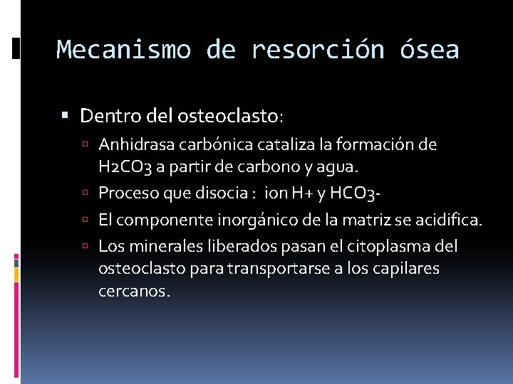 Mecanismo de resorción ósea Dentro del osteoclasto: Anhidrasa carbónica cataliza la formación de H Mecanismo de resorción ósea Dentro del osteoclasto: Anhidrasa carbónica cataliza la formación de H
