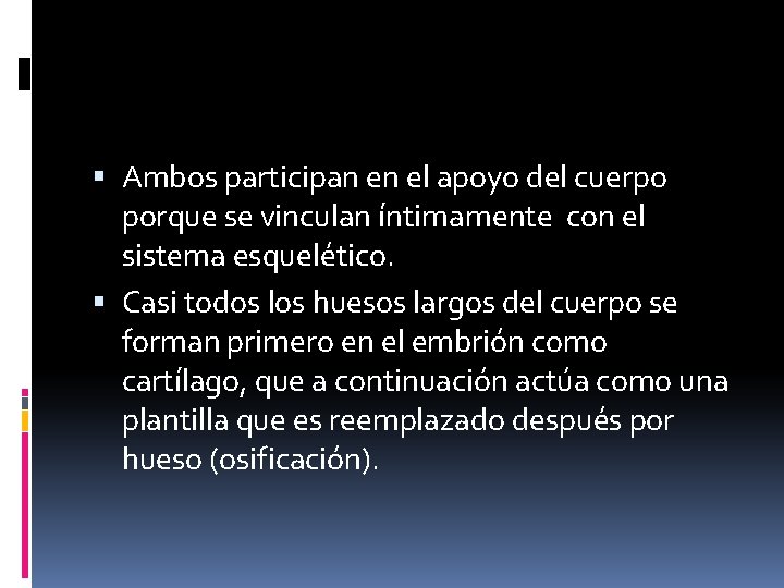  Ambos participan en el apoyo del cuerpo porque se vinculan íntimamente con el