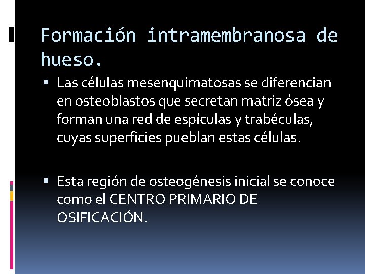 Formación intramembranosa de hueso. Las células mesenquimatosas se diferencian en osteoblastos que secretan matriz