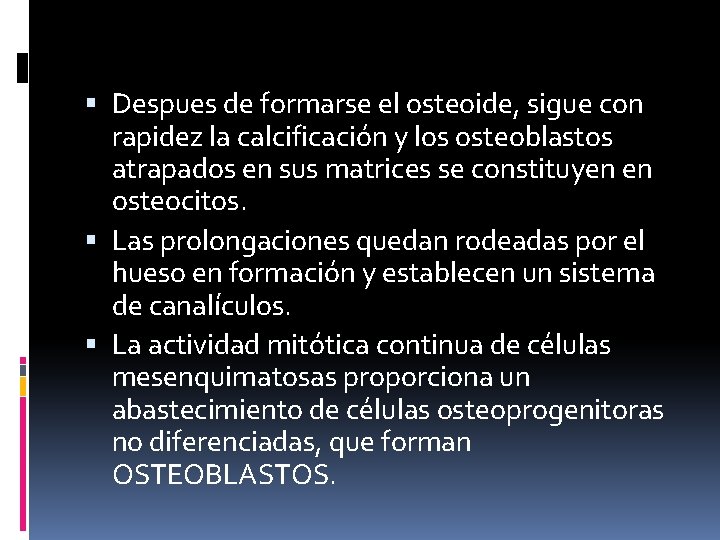 Despues de formarse el osteoide, sigue con rapidez la calcificación y los osteoblastos Despues de formarse el osteoide, sigue con rapidez la calcificación y los osteoblastos