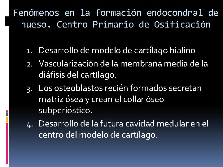 Fenómenos en la formación endocondral de hueso. Centro Primario de Osificación 1. Desarrollo de Fenómenos en la formación endocondral de hueso. Centro Primario de Osificación 1. Desarrollo de