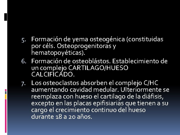 5. Formación de yema osteogénica (constituidas por céls. Osteoprogenitoras y hematopoyéticas). 6. Formación de