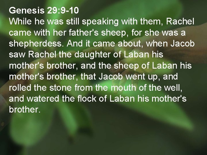 Genesis 29: 9 -10 While he was still speaking with them, Rachel came with