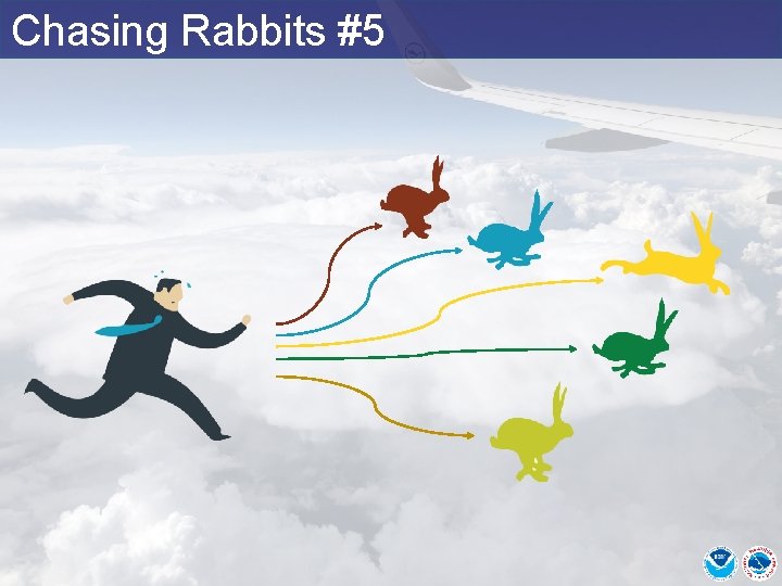 Chasing Rabbits #5 