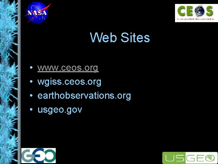 Web Sites • • www. ceos. org wgiss. ceos. org earthobservations. org usgeo. gov