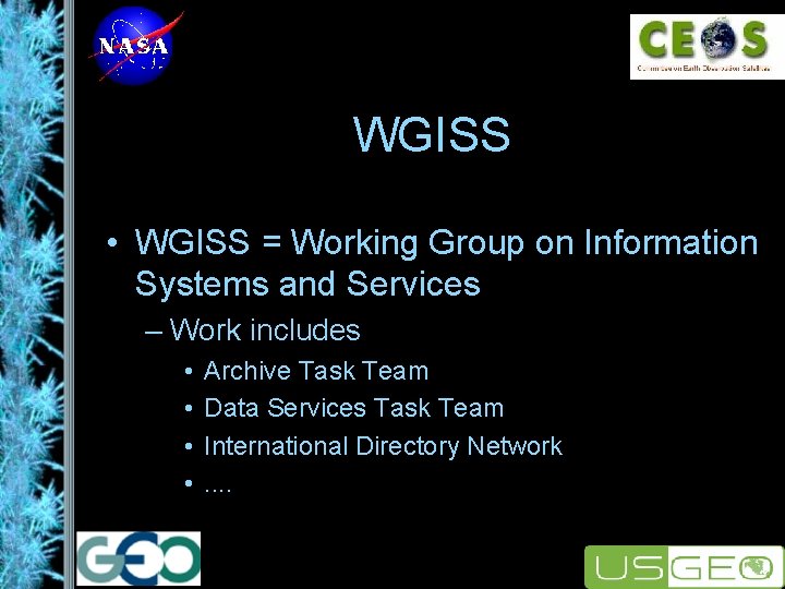 WGISS • WGISS = Working Group on Information Systems and Services – Work includes