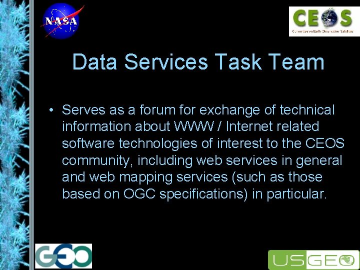 Data Services Task Team • Serves as a forum for exchange of technical information