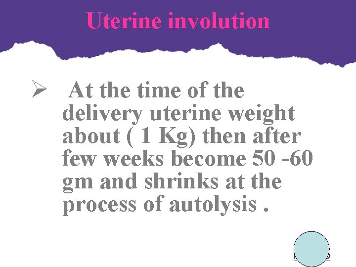 Uterine involution Ø At the time of the delivery uterine weight about ( 1 Uterine involution Ø At the time of the delivery uterine weight about ( 1